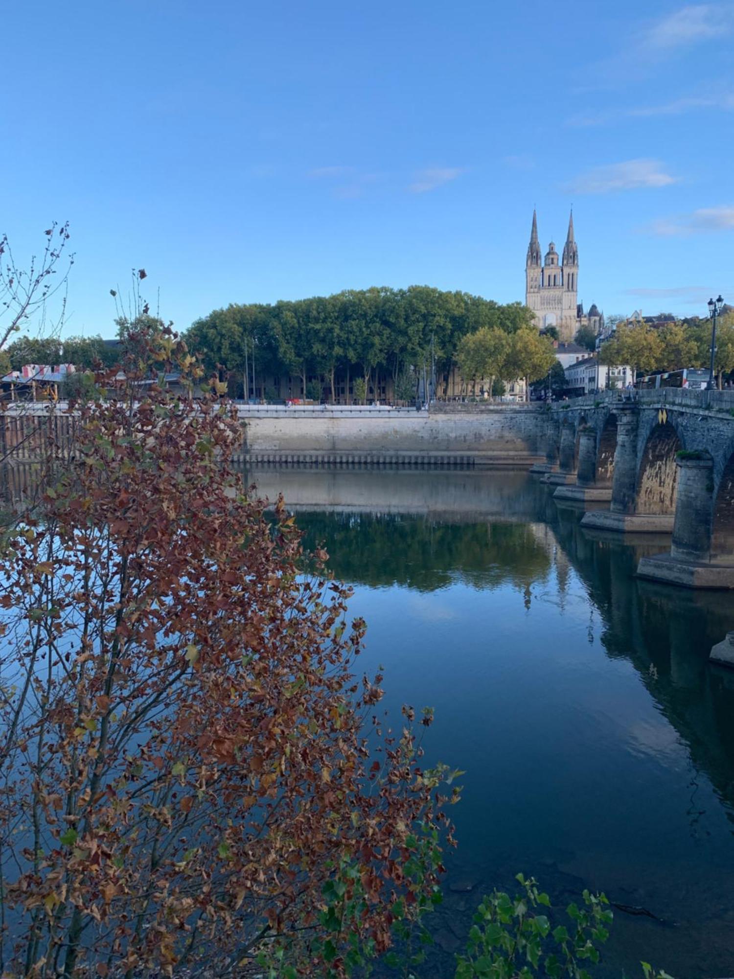 Avec Jacuzzi Sauna & Cinema - Nid D'angers Angers