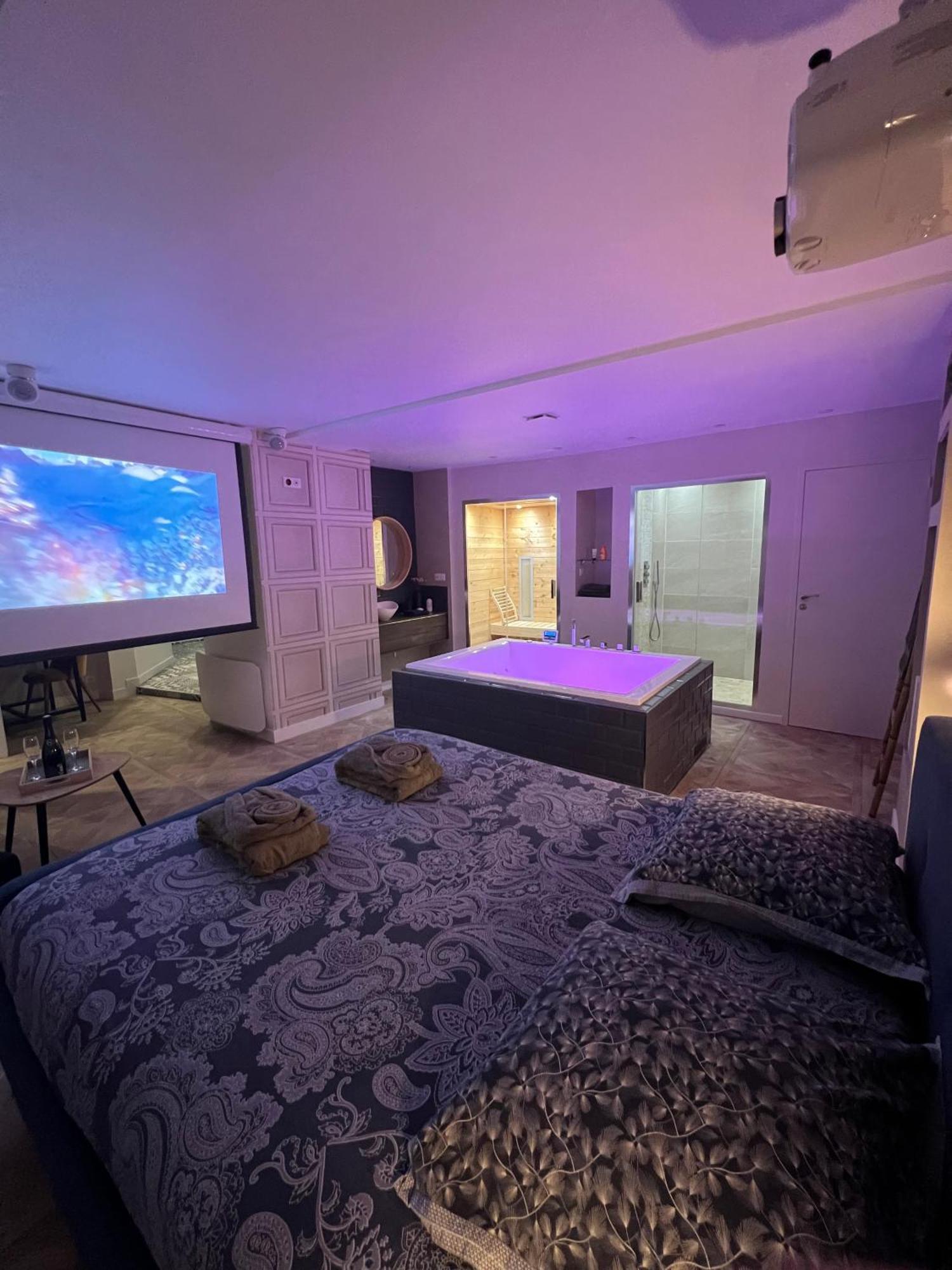Apartamento Avec Jacuzzi Sauna & Cinema - Nid D'angers Angers