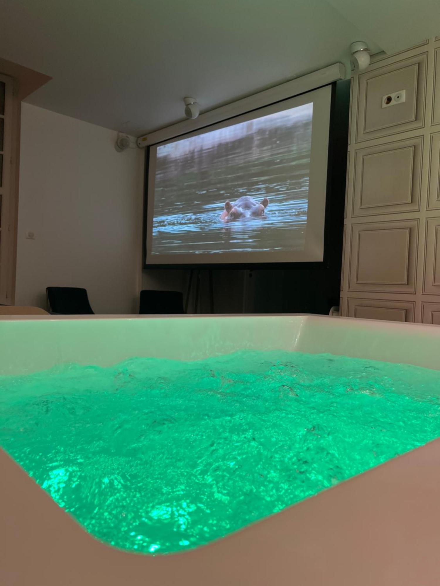 Avec Jacuzzi Sauna & Cinema - Nid D'angers * Angers