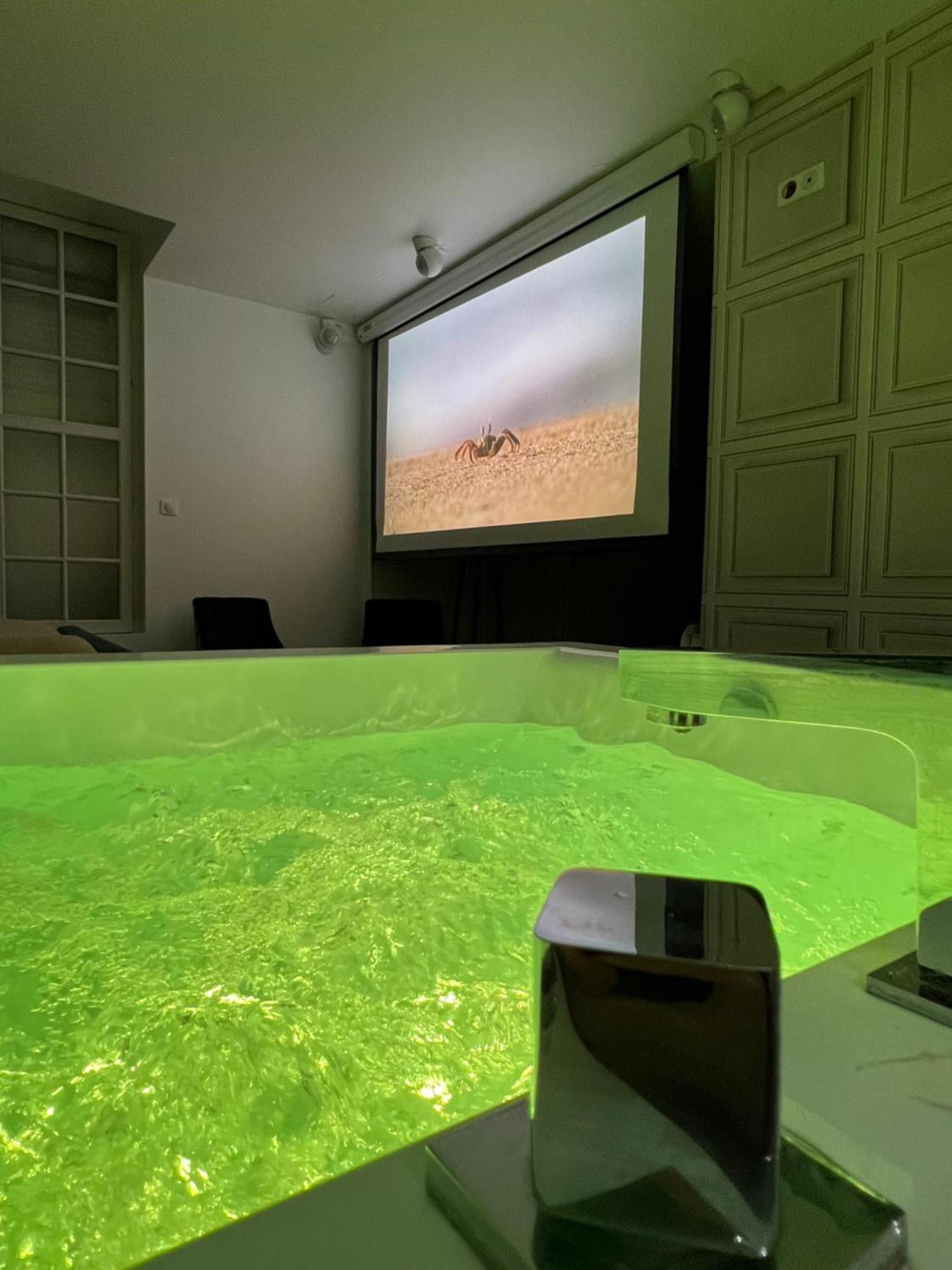 Avec Jacuzzi Sauna & Cinema - Nid D'angers Apartamento *